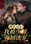 葬礼过后，我被小叔强制诱宠程婴盛闻安