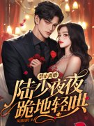 禁止离婚！陆少夜夜跪地轻哄（乔熏陆泽